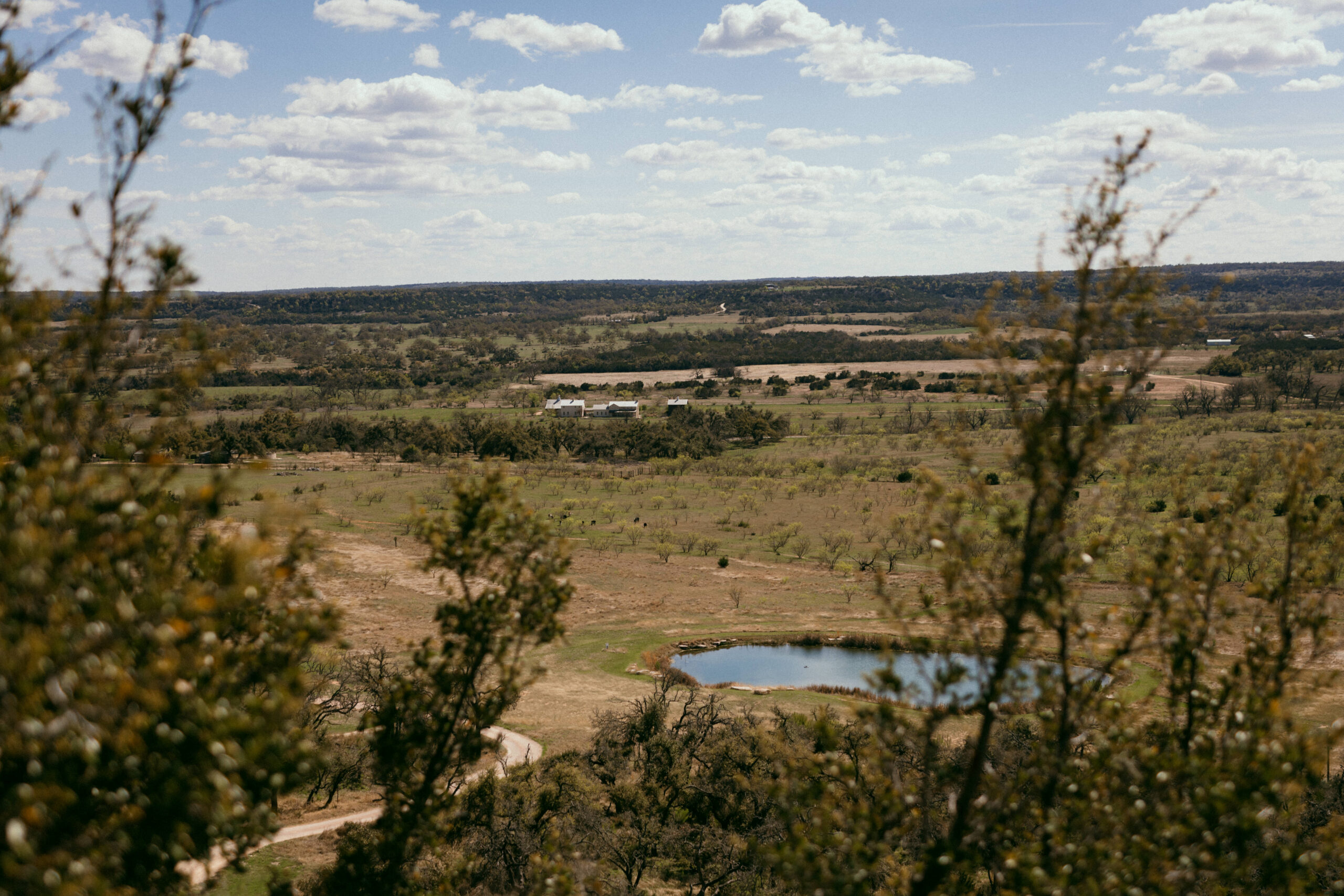 View of Texas Hill Country in Fredericksburg Texas